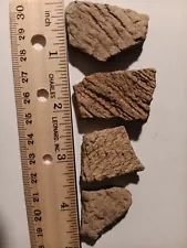 4 PIECES OF AUTHENTIC NATIVE AMERICAN INDIAN POTERY FOUND EASTERN N.C.---AB-15