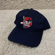 Vintage Twins Lowell Spinners Hat Snapback Blue Red White Minor League Baseball