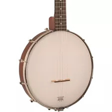 banjo for sale craigslist