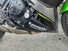 2019 Kawasaki Racing Team