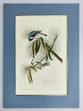 AUDUBON ENGRAVING Crested Titmouse HAVELL EDITION Aquatint 1828 ORIGINAL 20x27"