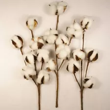 11" Cotton Boll Cotton Stem Spray 6 Bolls Per Stem (3 Piece Lot)#00104029010