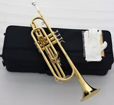 High Grade new Eb Bass Trumpet Gold surface 3 Piston Vavles With Case