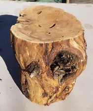 8" long x 6" diameter Honey Mesquite Crotch Grain Wood