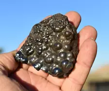 Botryoidal HEMATITE Mineral Specimen * Shiny Iron Ore Mineral * Morocco