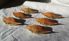 6 Blue Crab Shells for Crafts, Cooking, Dried and Ready Paint