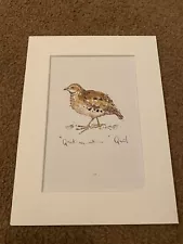 Quail Picture Beautiful Mounted Bird Art 6x8 inch BS 77