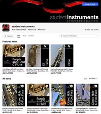 Online Business for Sale • Website and eBay • SAV • Musical Instruments •