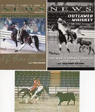 3 Named Spotted Saddle Horse Tennessee Walking Horse Postcards 1999