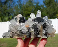 HEMATITE Desert ROSES in Natural Clear Quartz Crystal Points Cluster For Sale