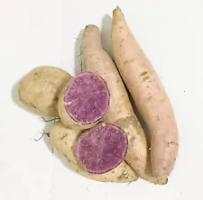 Fresh Okinawan Hawaiian Sweet Purple Potatoes 3LBS.(not For Planting )