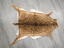 Axis Deer Hide: Large (488-L-G6215) Y1H