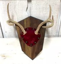 Mounted real Deer Antlers on red velvet wood Wall Placque