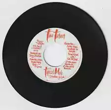 TINA TURNER 1986 Typical Male PROMO, NOT FOR SALE 45rpm-FREE SHIPPING