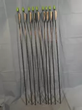 9 Easton Trooper 40# Arrows, made in the USA