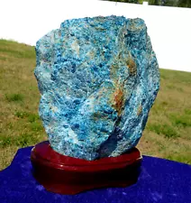 Huge Natural BLUE APATITE Crystal on Custom Wood Base Brazil Specimen For Sale