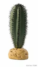 saguaro cactus for sale