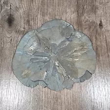 Pyrite 'Sun' Illinois Mineral Specimen for Sale LARGE **5.5" Across**