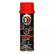 10 Seconds Bactericidal Shoe Disinfectant and Deodorizer Spray 5oz