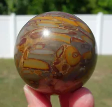 BAMBOO Fossil JASPER Quartz Crystal Sphere Ball The SPIRIT GUIDE Stone For Sale