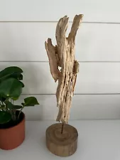 Driftwood Sculpture on Wood Stand