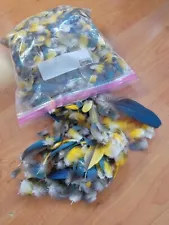 Blue & Gold Macaw body feathers