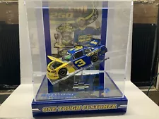 Dale Earnhardt Jr. 2010 Impala Wrangler Daytona Win Raced Version Autographed &