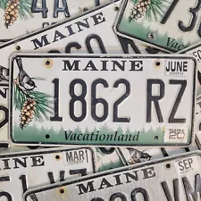 MAINE CHICKADEE LICENSE PLATE ð¥FREE SHIPPINGð¥ ~ 1 w/RANDOM LETTERS & NUMBERS