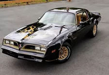 1978 Pontiac Trans Am hobnail cloth