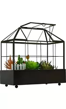 Large Tall Plant Terrarium Glass – Glass Greenhouse Terrarium with Lid and Cacti