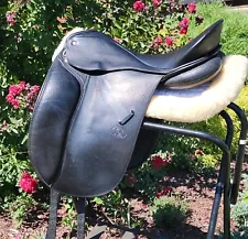 18.5 Schleese Custom Dressage Saddle MW