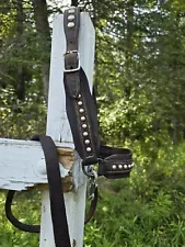 Vintage Leather Pony,Sheep,Goat, Calf Halter With Spots