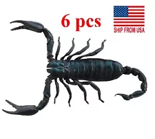 6 Real Giant Scorpion Mounted 7” or 17cm Large Beetle Entomology Real Insect Bug