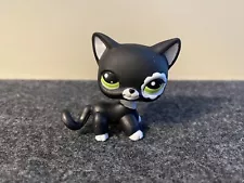 Authentic Littlest Pet Shop LPS Blythe Black Cat with White Eye Patch #2249