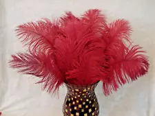 Lot of 10 Burgandy Ostrich Feathers 12" to 16" Long, Nice & Full