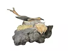 UNIQUE Vintage Antique Hand Made Feather ROADRUNNER Bird DISPLAY ON WOOD