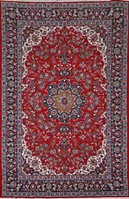 Traditional Pattern Floral Living Room Rug 6x10 ft Turkish Carpet