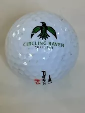 Lost & Found Circling Raven Golf Club Logo Ball Pinnacle 4