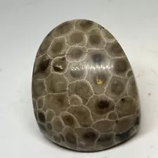 polished petoskey stone 6.4 Oz