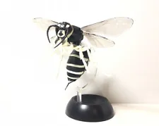 Bandai Vespine Cross Wasp White-faced Blackjack Murder Hornet Insect Bug Figure