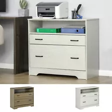 Home Office File Cabinet Storage Organizer W/ 2 Drawers & Shelf