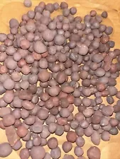 Taconite Iron Ore Pellets from Upper Peninsula MI Iron Range 2 Pounds.