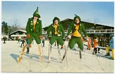 Brodie Mountain Ski Brodie Postcard Leprechauns New Ashford, MA Irish Alps