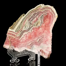 4.9" Bulls Eye Red-Pink-White-Tan RHODOCHROSITE PolishedSlice Argentina for sale