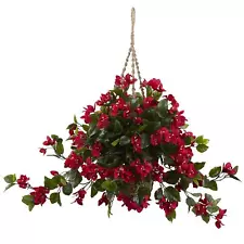 bougainvillea hanging basket for sale