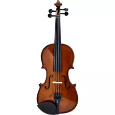 Stentor 1500 Student II Series Violin Outfit 4/4 Outfit 197881188351 OB