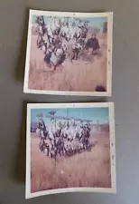 2 Color Photos: Duck Hunters with displayed hunt - 1968 - Duck and geese