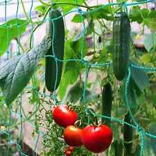 Heavy Duty Garden Trellis Netting for Climbing Plants Cucumber Vine Fruits & Veg