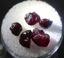 ONE 'Gem Round' of 'Ant Hill' Garnets, Arizona - Minerals for Sale