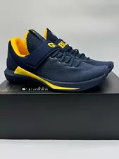 michigan jordan trainer 1 for sale